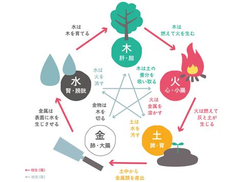 陰陽 五行|「陰陽五行」基本のキ! 中国古代哲学をわかりやすく。